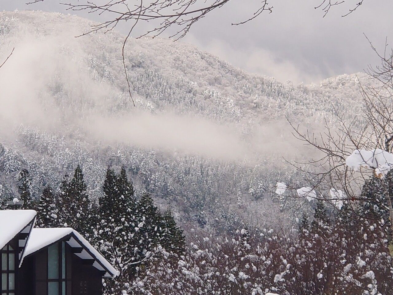  Casual twin room in half of a cottage