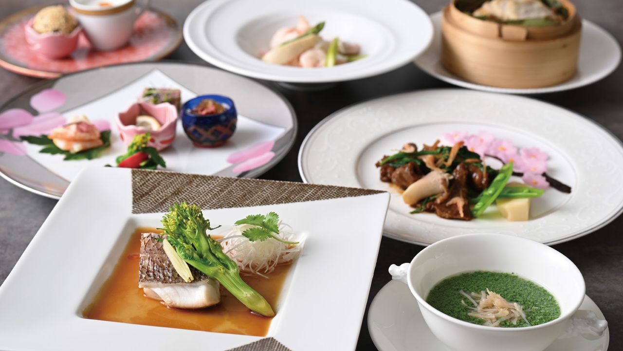 [Member's Price] Spring Basic