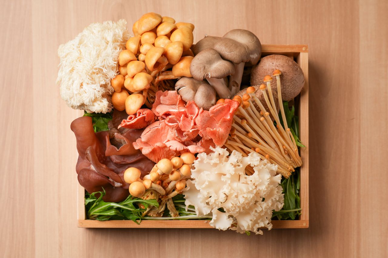 Hotpot standard course