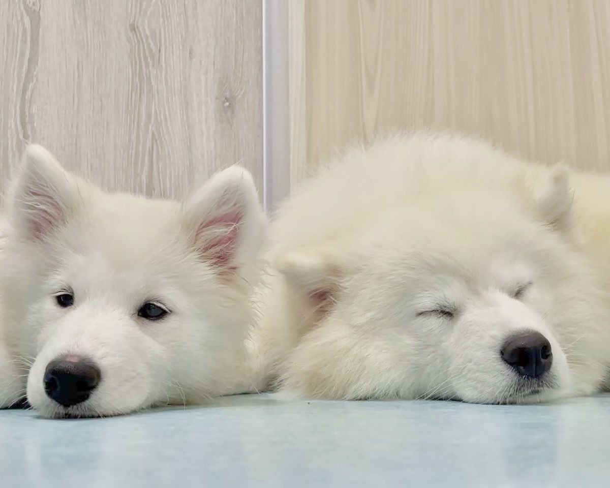 4/1～≪平日≫通常チケット（50分）