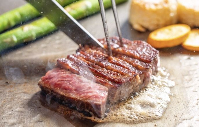 平日限定ミックスランチ～選べるメインディッシュ～【税込￥5,500】