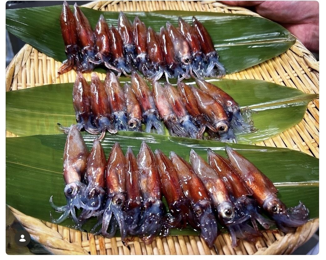 【午餐】壽司+涮涮鍋套餐◆ 享用正宗壽司和時令魚肉涮涮鍋的豪華套餐。
