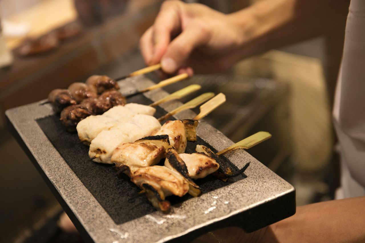 【~19時までに退店】とりあえずコース