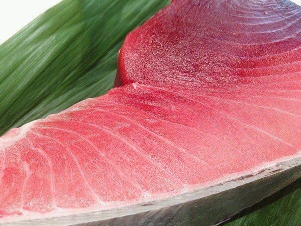 鮨とよたか
