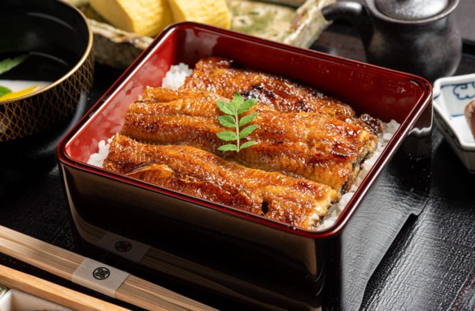 Unagi Wasa
