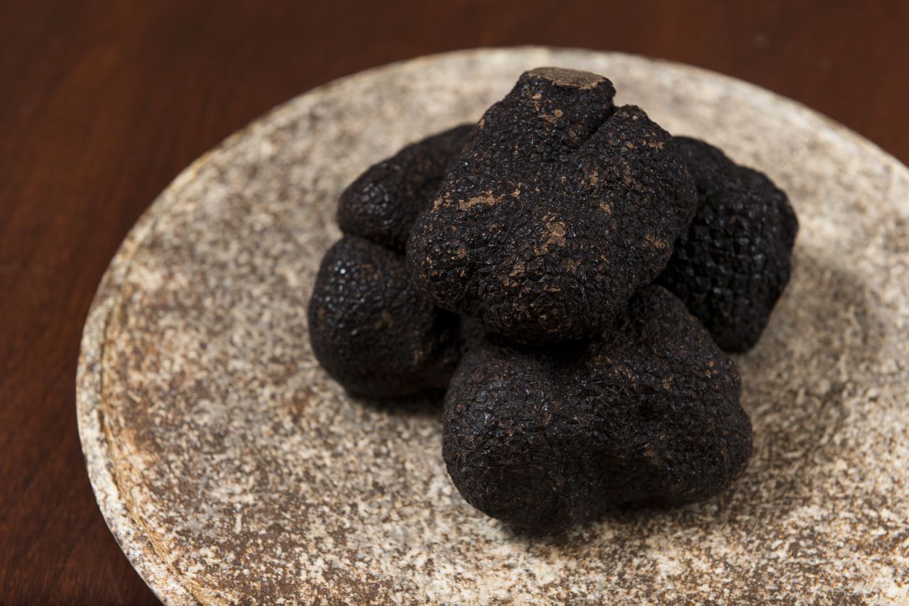 スペシャルコース