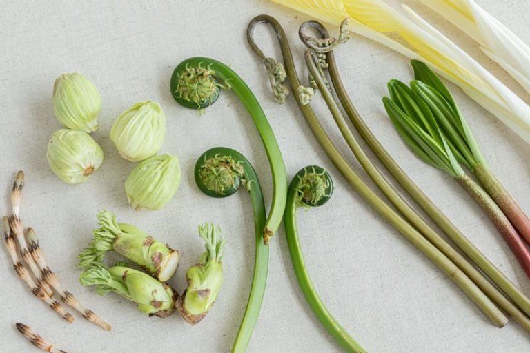 大闸蟹壳主厨搭配套餐