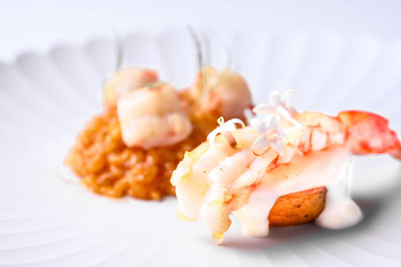 [Speciale dello Chef] Corso creativo di 8 piatti