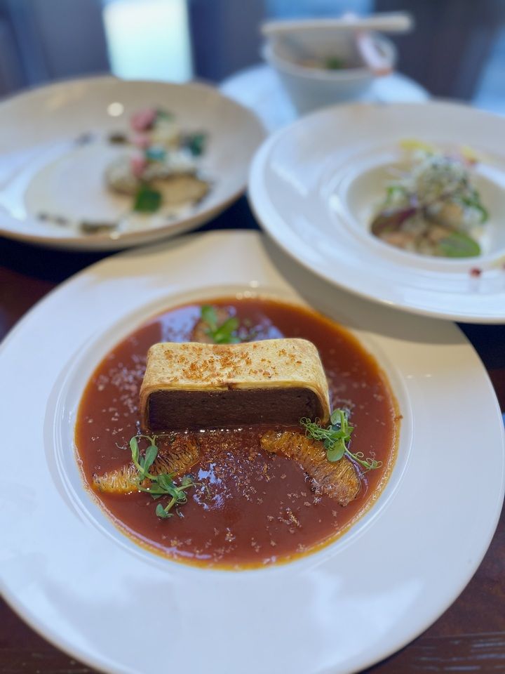 Full Course "SHIKON"