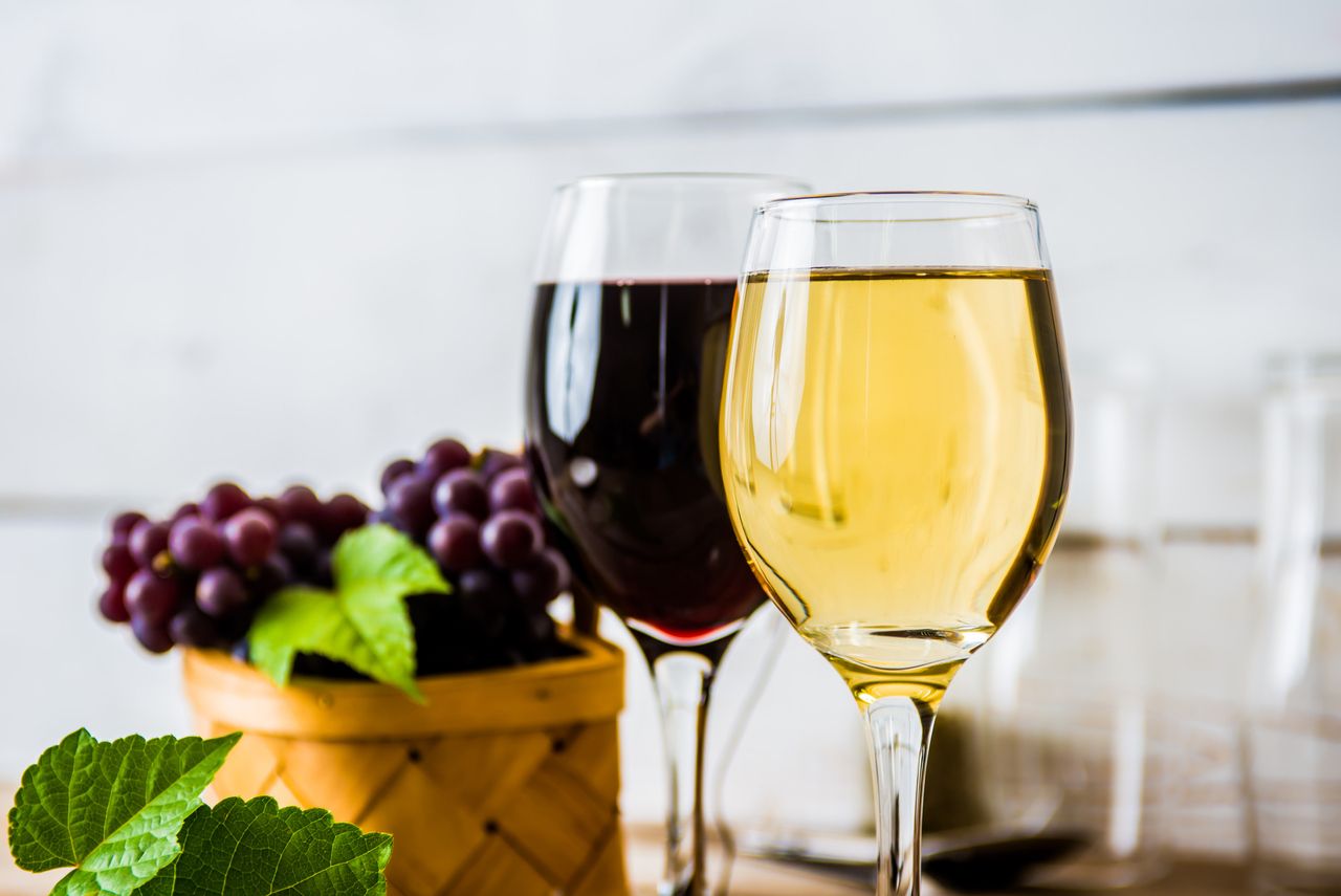 ワイン飲み放題