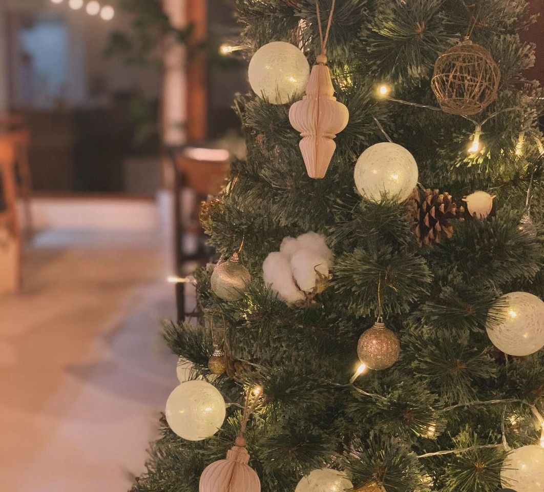 クリスマスランチコース