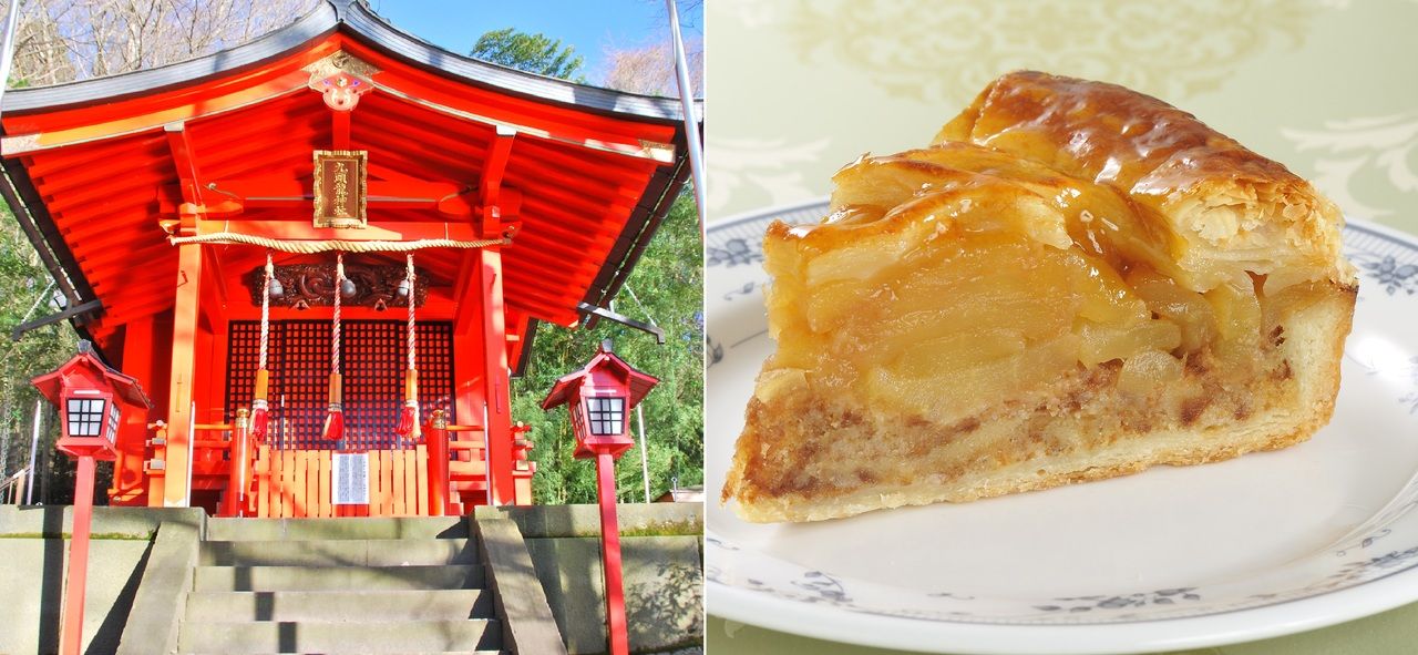 九頭龍の森入場券＋ケーキセット