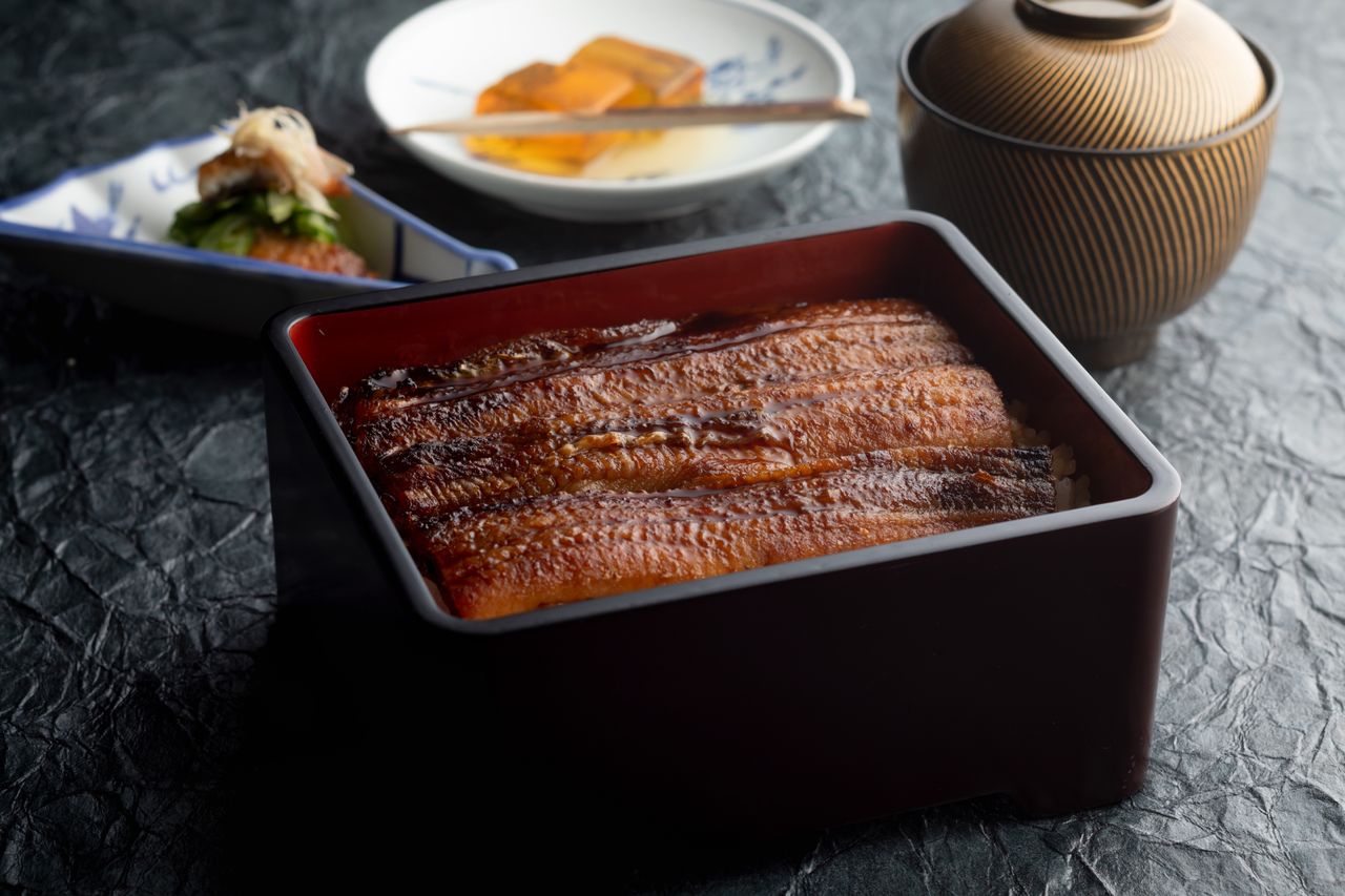 Eel Lunch set