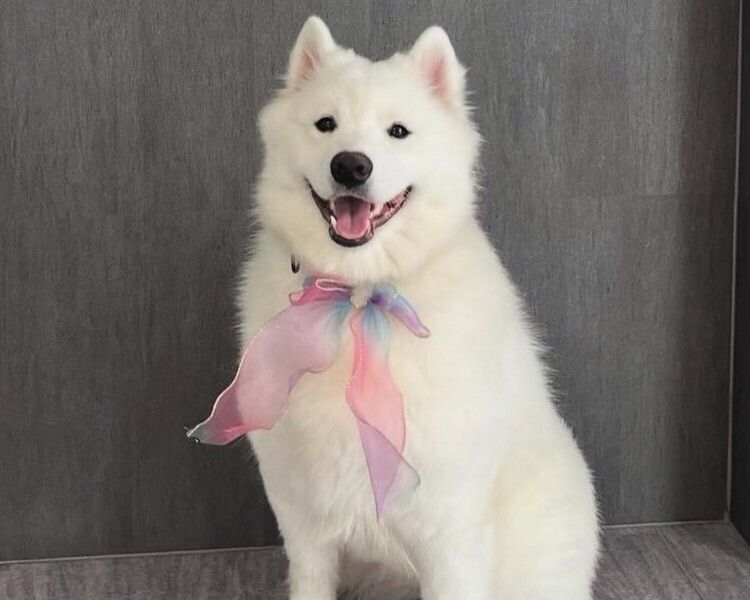 Weekends and Holidays: Regular ticket (50 minutes)