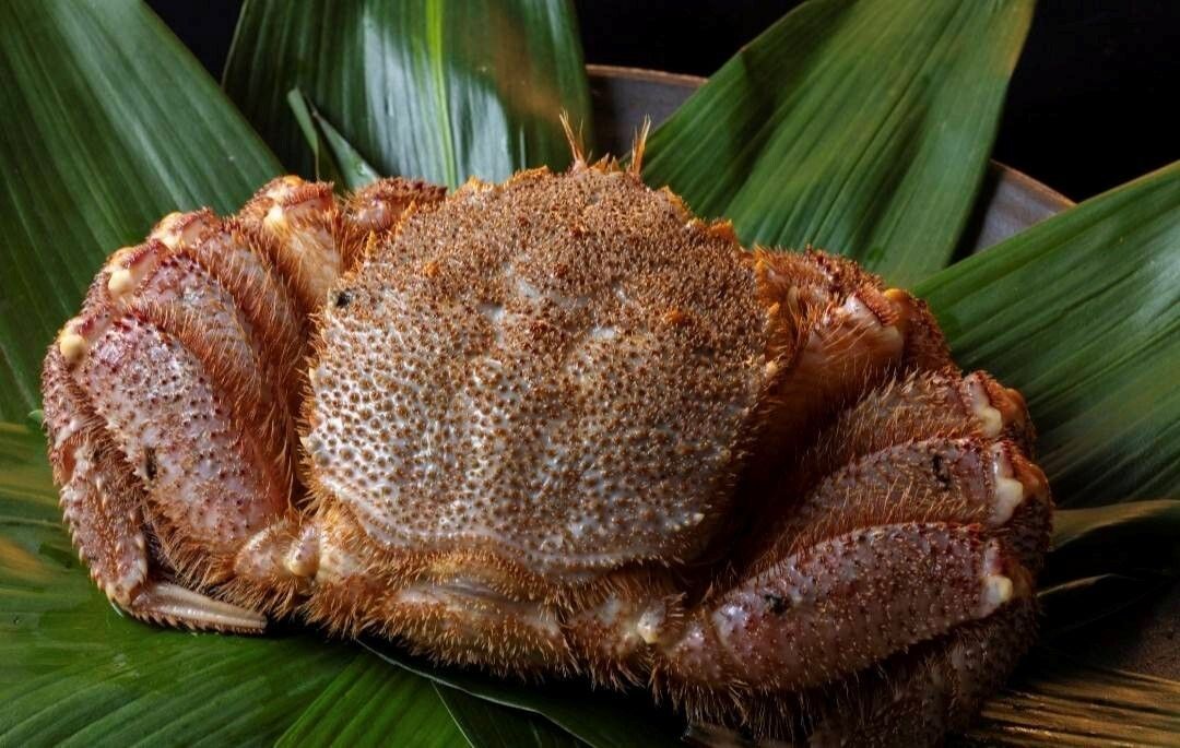 特選鰻と特大毛蟹のコース【3名様まで】(表示価格は1名様分です)