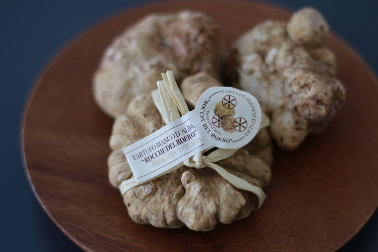 White truffle omakase course