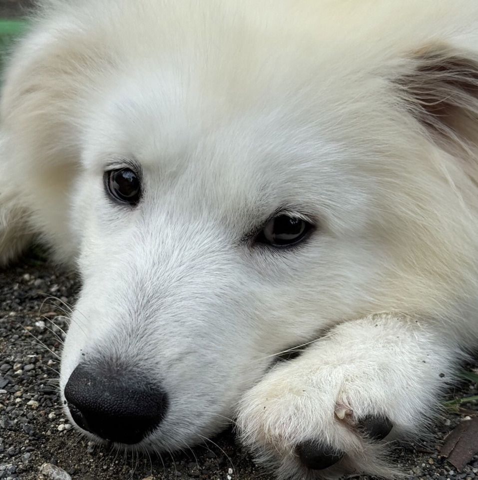[提前預約/平日]店內使用券（1小時）