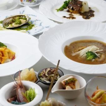 Shark Fin Light Short Course