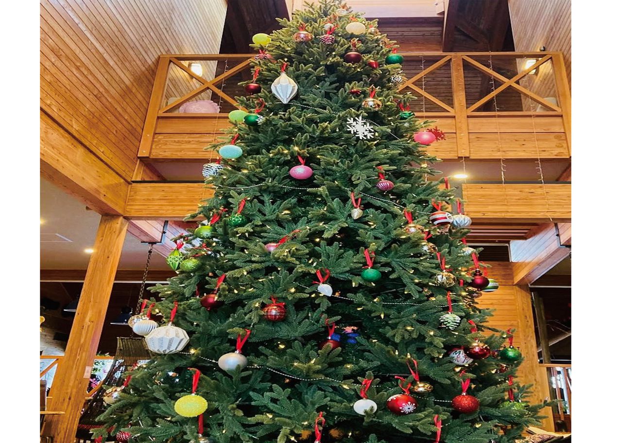 Christmas limited special course