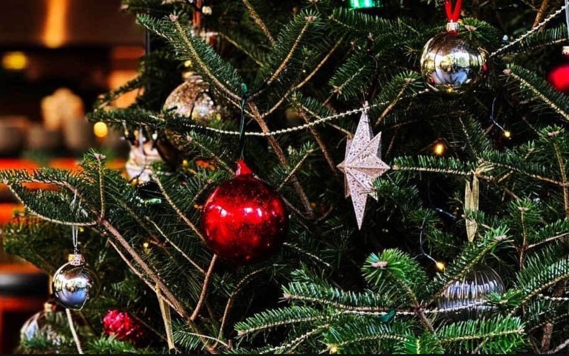 [EARLY CHRISTMAS LUNCH] December 5th - December 18th Early Christmas Lunch Course Plan 5,000 yen (LUNCH)