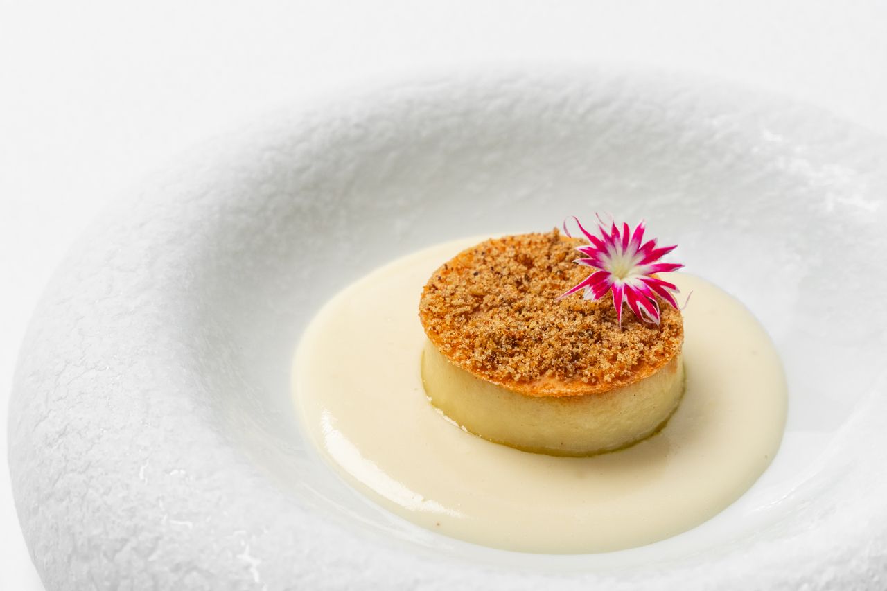 【TRADIZIONE LUNCH】2026