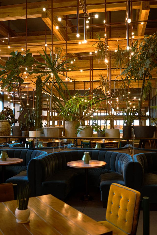 12월 31일 한정 샴페인 프리 플로 플랜