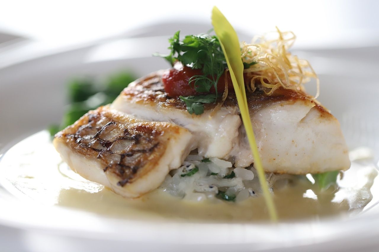 【Lunch B】肉or魚選べるメイン、選べる前菜など 全3品