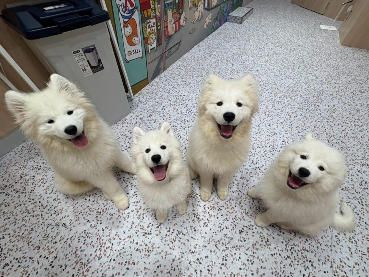  Regular ticket (50 minutes)