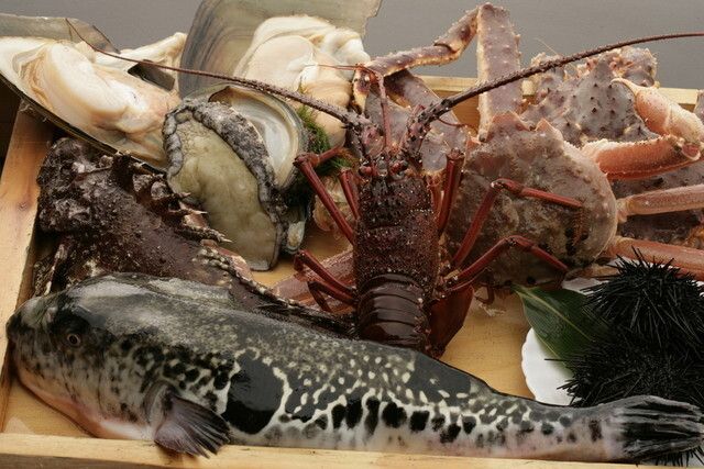 【季節コース】特選料理・お造り・焼物・うなぎの朴葉蒸しを含む全9品