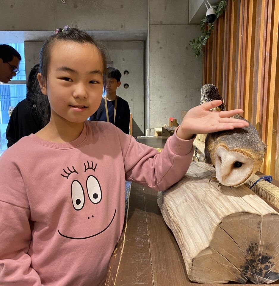 [Elementary school students and under, ages 4-12]  touch only + 1 drink  included