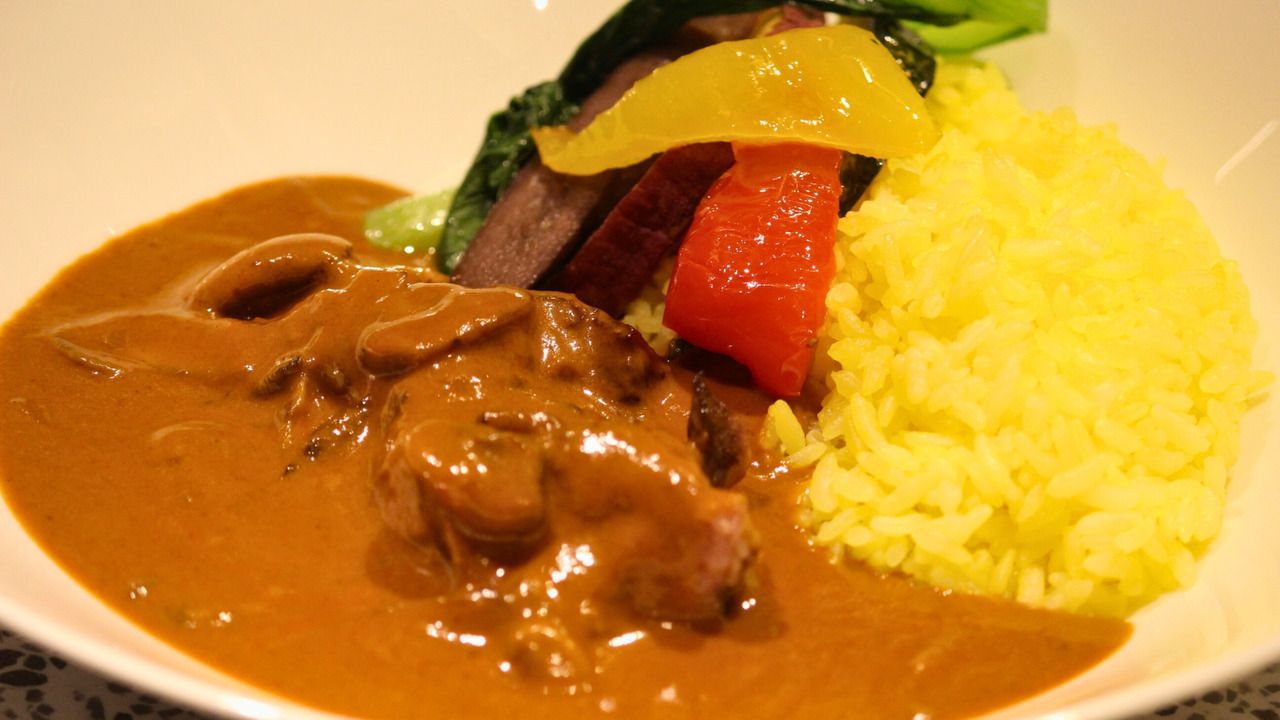 【One Harmony会員料金】コントレイルランチC