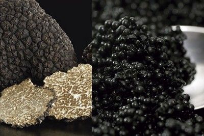 ¥49,500 Course Dinner 2025 