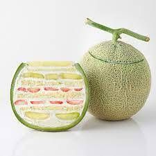 Limited edition melon cake included! Japan Welcome Course: ¥43,200 + ¥24,000/melon (tax included)