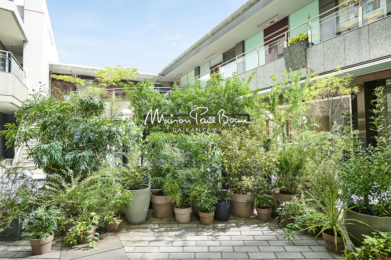 [Lunch] New Year's special course 13,000 (total 15,730)