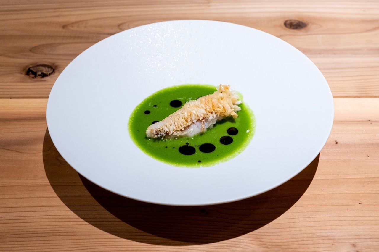 카운터 런치 코스