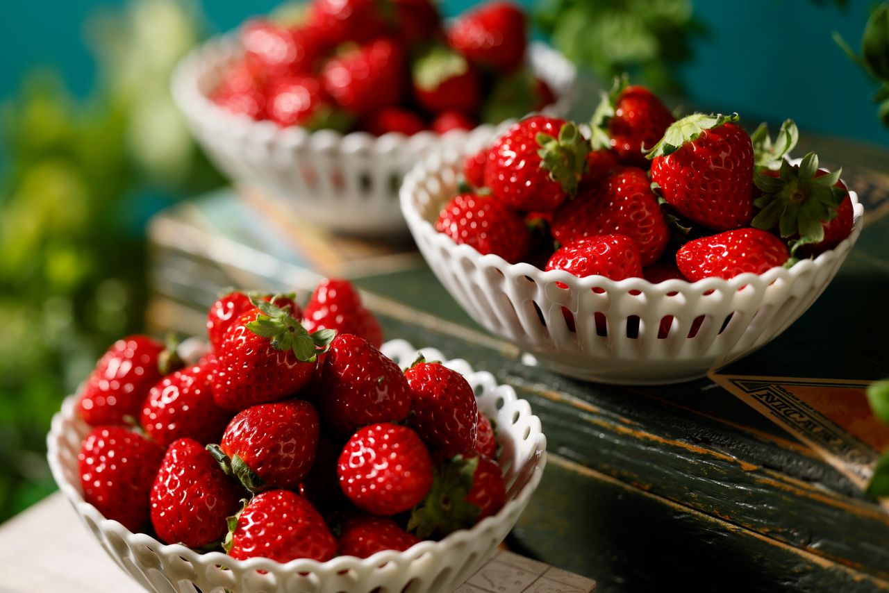 ≪平日≫スイーツビュッフェ『苺の森のアトリエ』小人（5歳～小学生）