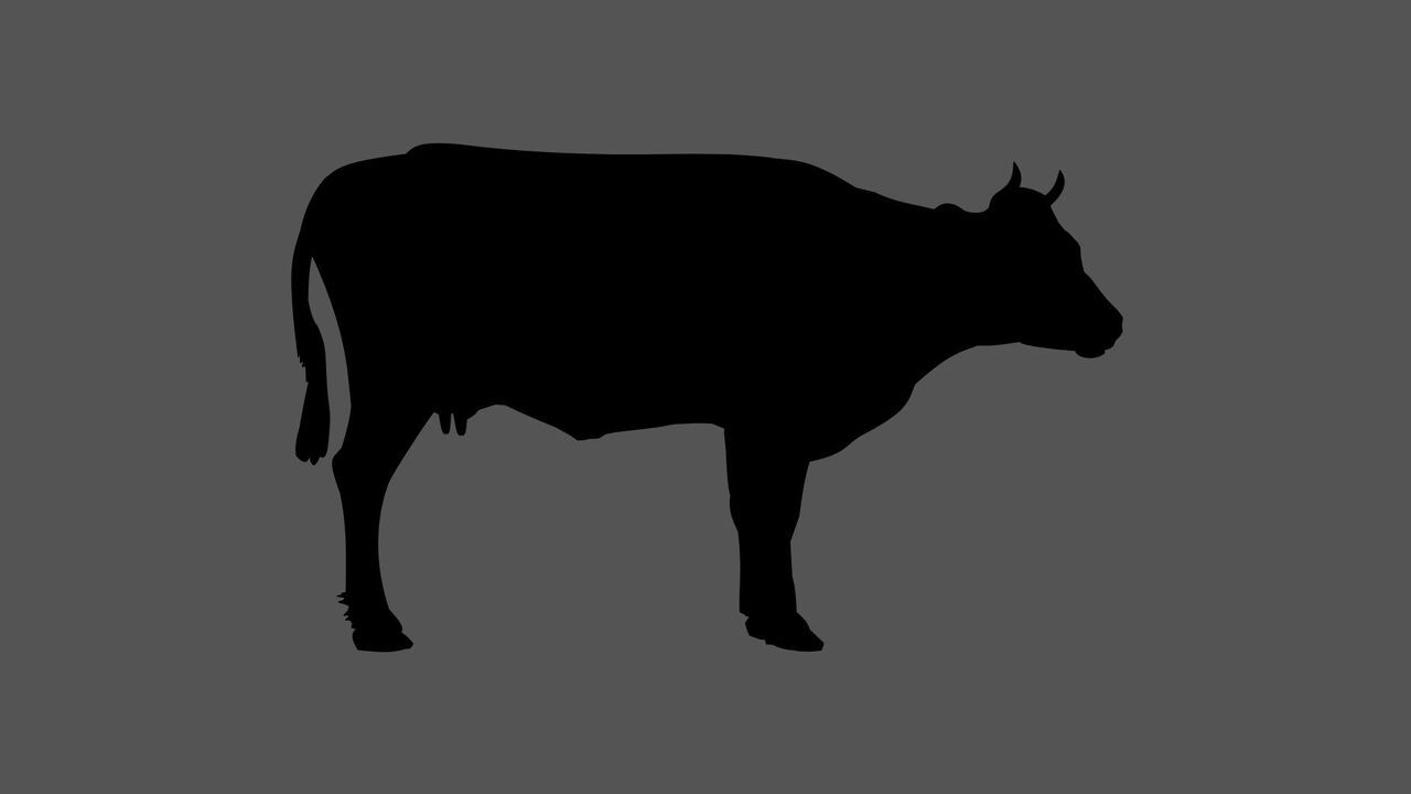 【Casual Course】 お料理のみ