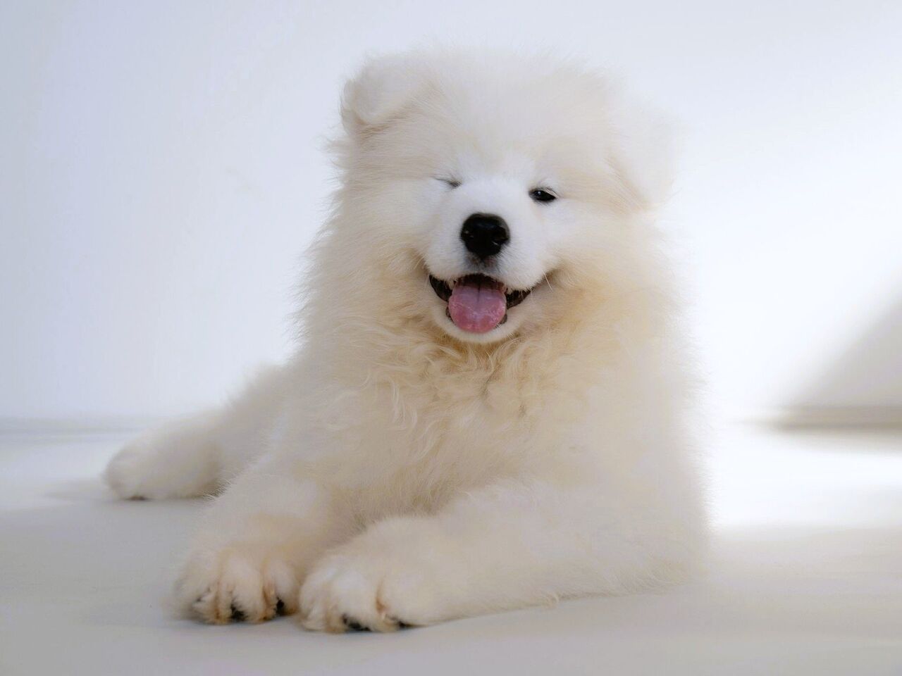 1時間ご利用チケット