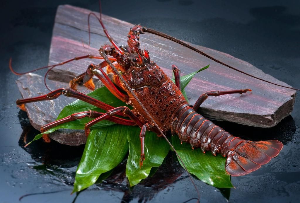 [Live lobster and Kobe beef tartare steak course]