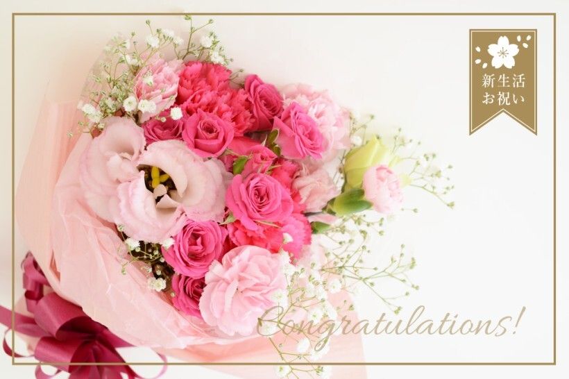 新生活お祝いディナーコース