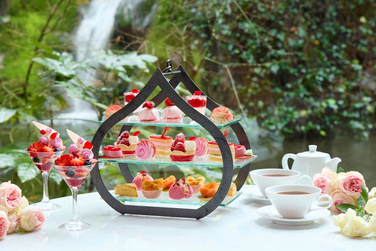 Rose Afternoon Tea