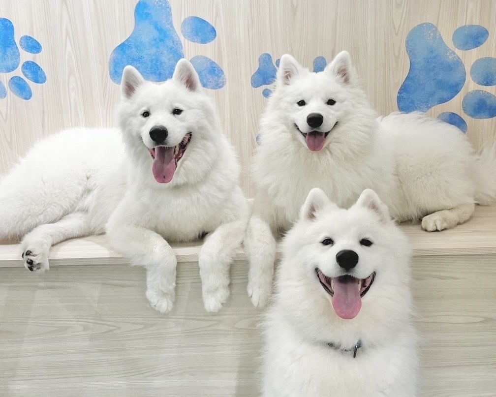 4/1～≪土日祝≫通常チケット（50分）