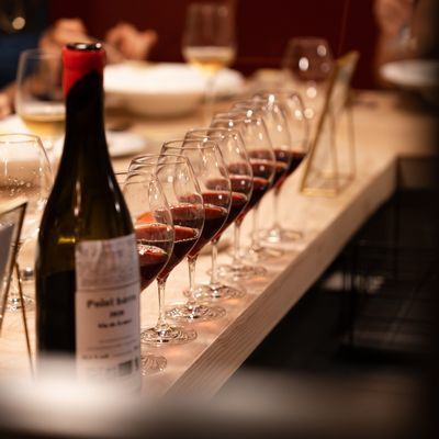 【Menu Verre】ソムリエがいま注ぎたい5杯（＋おまかせコース＜全8品＞）