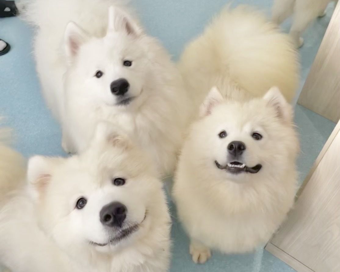 ≪Golden Week Period≫ Regular Ticket (50 minutes)