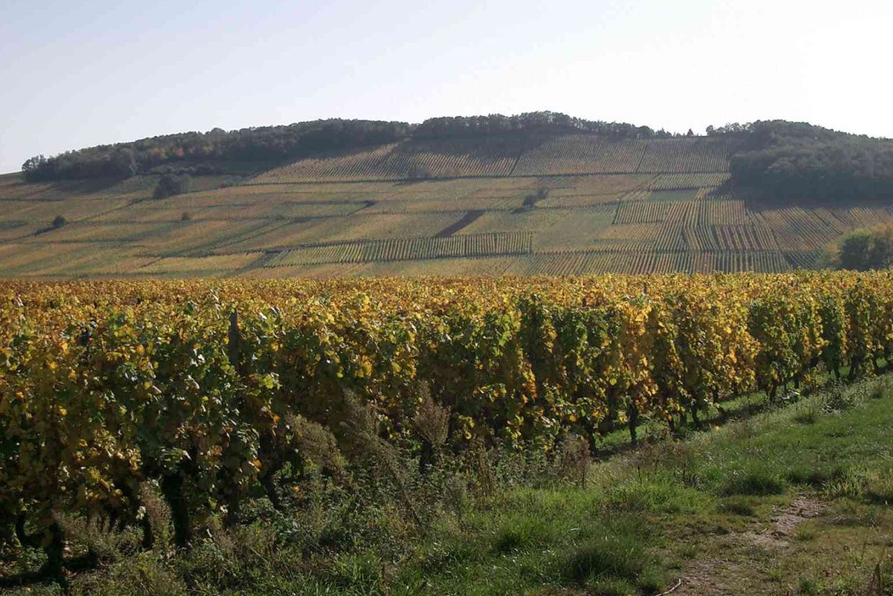 【June 1st】Famille Hugel Pairing Wine Pairing Dinner Event