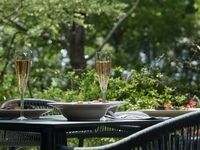 【EARLY SUMMER ランチコース店内席指定なし】5月26日〜6月23日 初夏のLUNCHコース 店内指定なしプラン 5500円 (LUNCH)