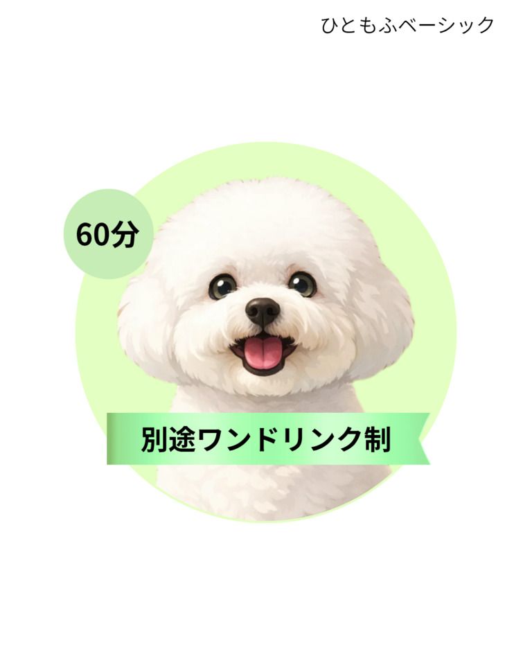 [Saturday] Hitomofu Basic Course (60 minutes)