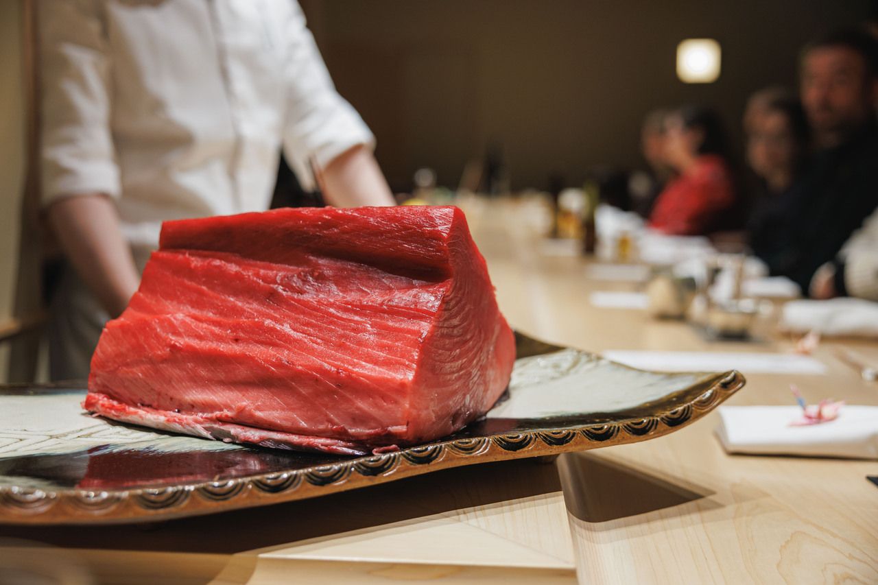 Tuna Special Course – Tuna Extreme Course –
