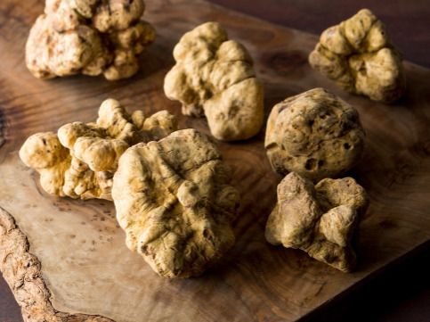 Yakiniku Yazawa – Menu truffe blanche