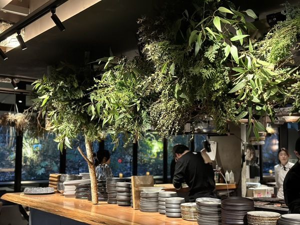 [店内]カウンター席